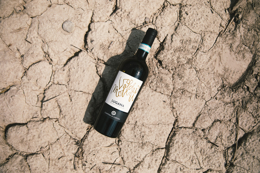 Lugana - Cantina di Custoza